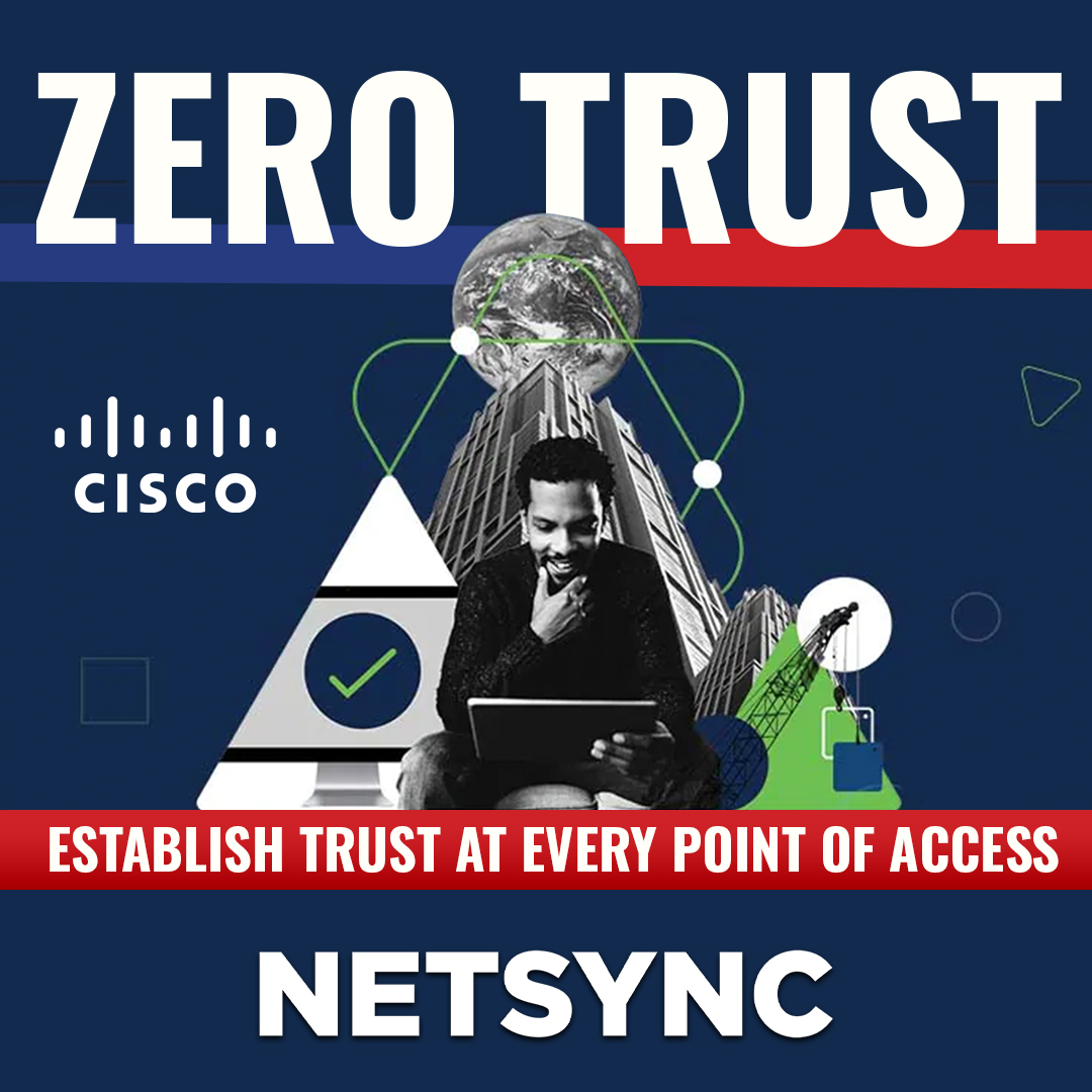 Netsync Graphic 10
