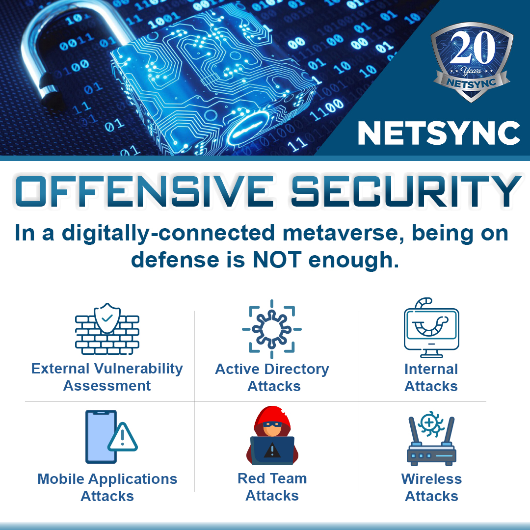 Netsync Graphic 11
