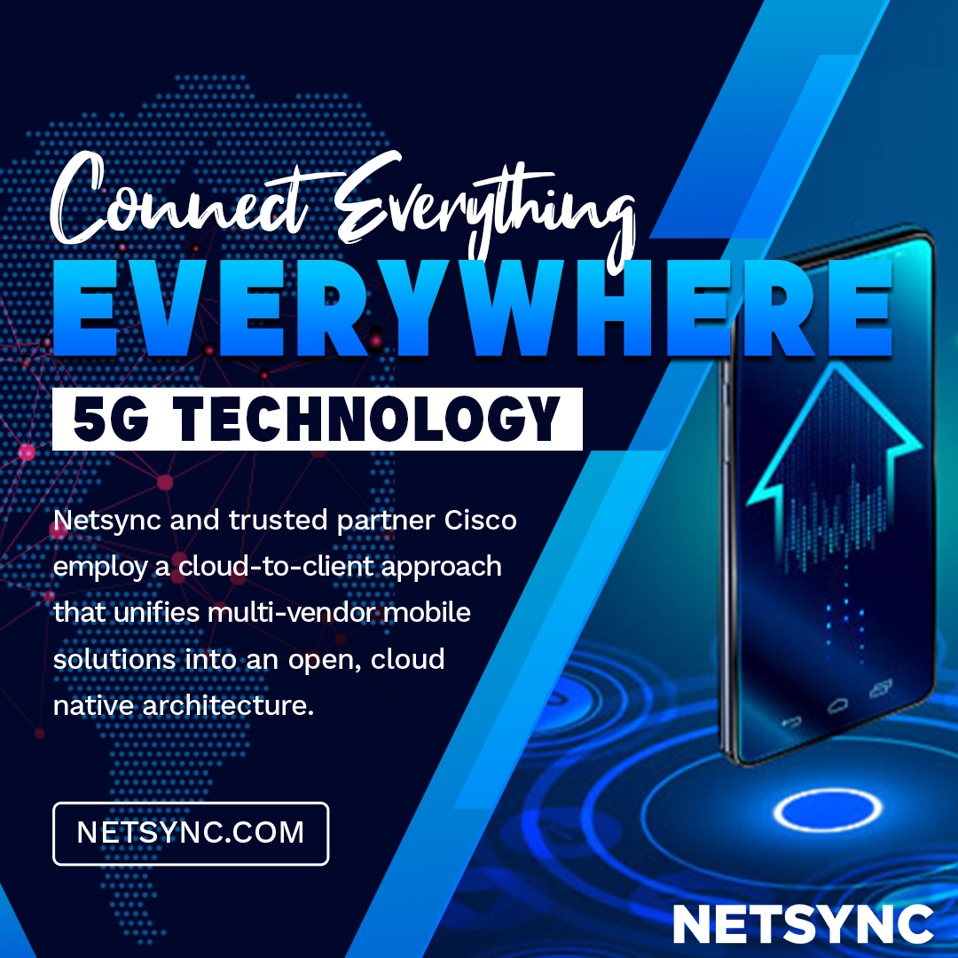 Netsync Graphic 17