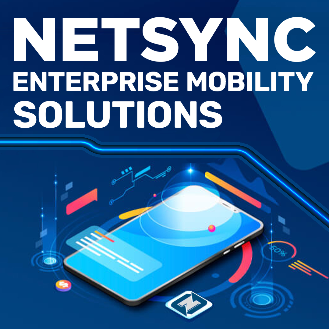 Netsync Graphic 19